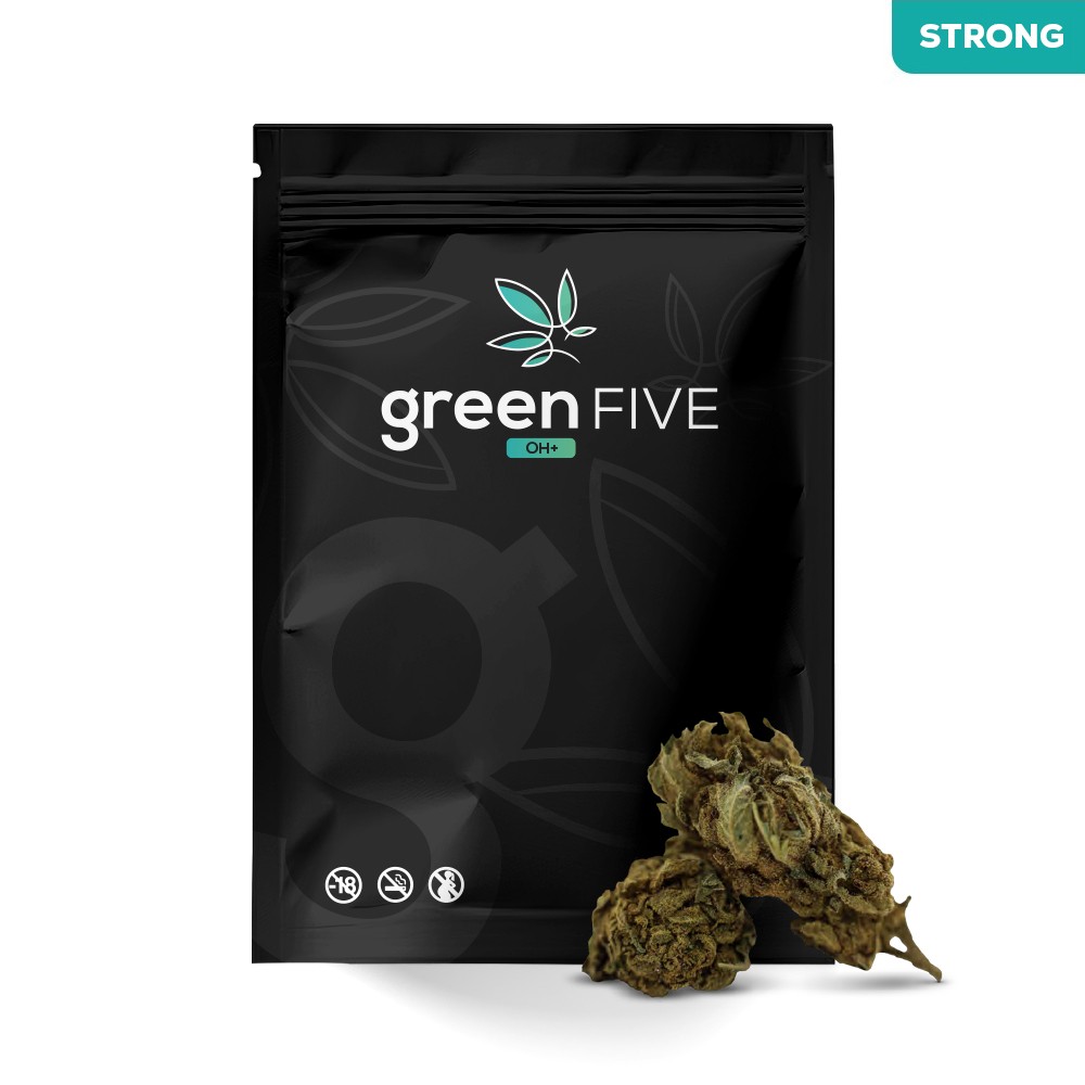 ALASKAN THUNDER FUCK OH+