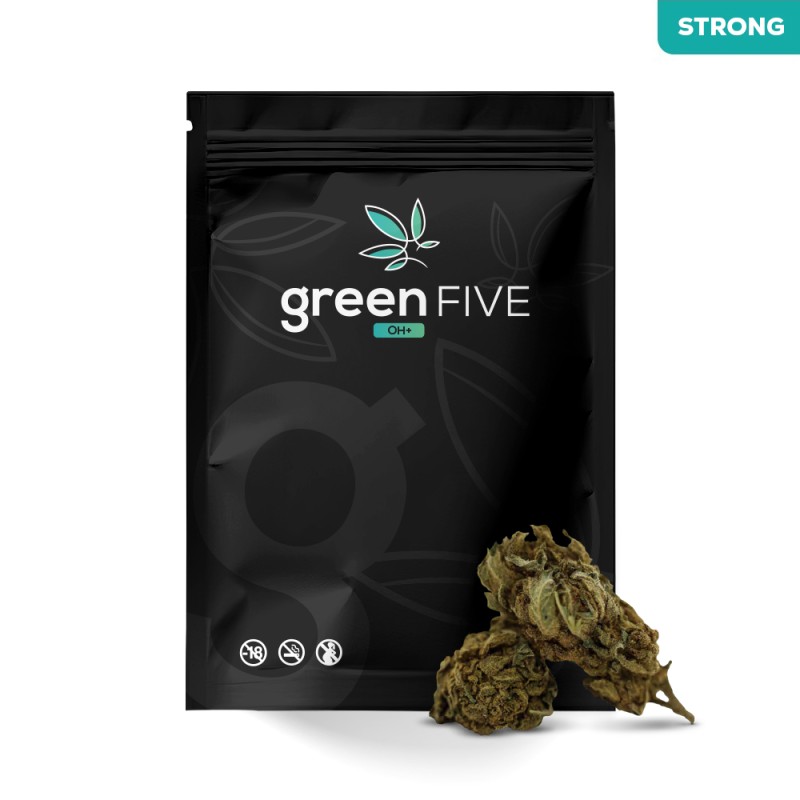 ALASKAN THUNDER FUCK OH+