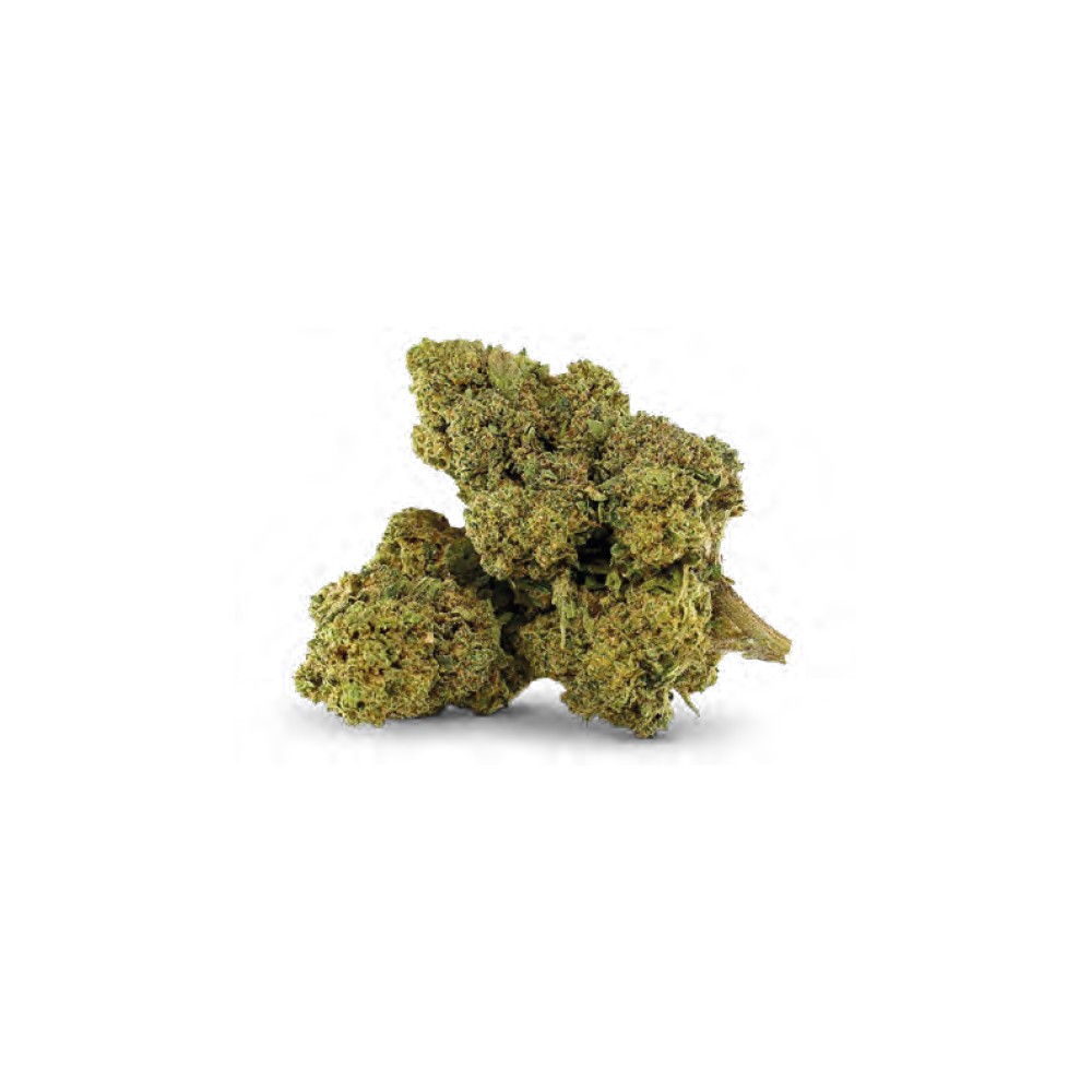 MASTER KUSH DELTA-10 2