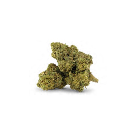 MASTER KUSH DELTA-10