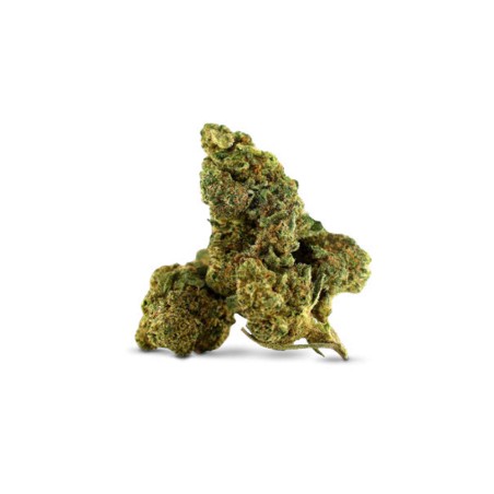 SOUL ASSASSIN DELTA-10