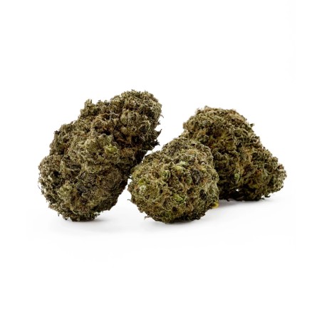 GMO Cookies