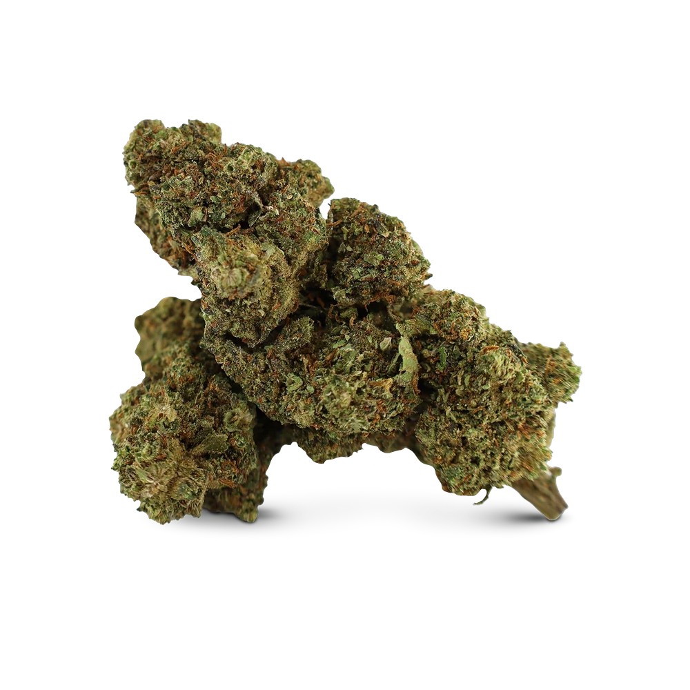 SPACE MONKEY 2