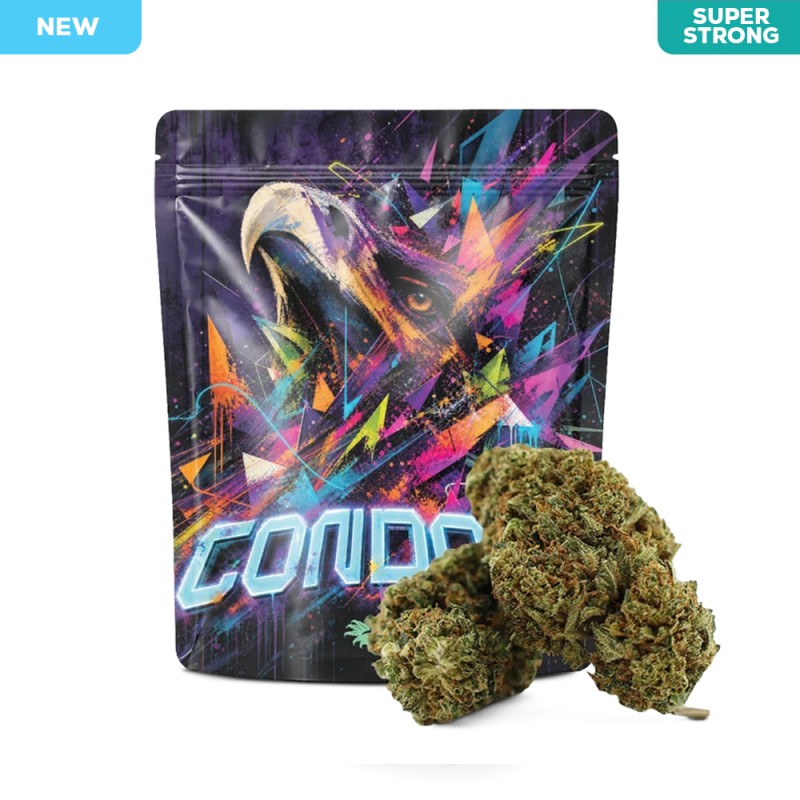 PRTLAB CONDOR